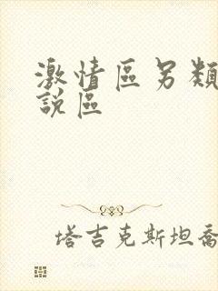 激情区另类区小说区