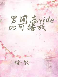 男同志videos可播放