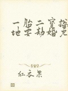 一胎二宝总裁爹地要劫婚免费阅读