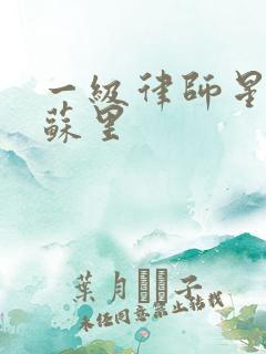 一级律师星际木苏里