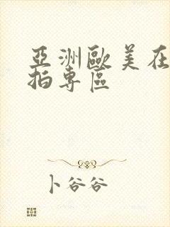 亚洲欧美在线偷拍专区