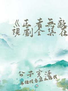 《正者无敌》电视剧全集在线观看