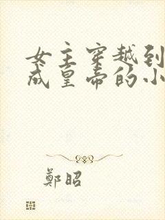 女主穿越到古代成皇帝的小说