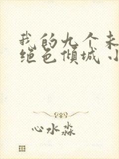 我的九个未婚妻绝色倾城 小说