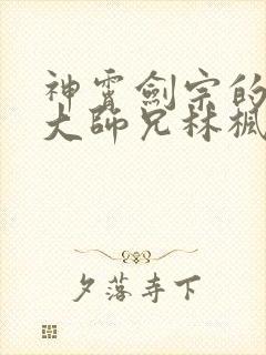 神霄剑宗的废材大师兄林枫