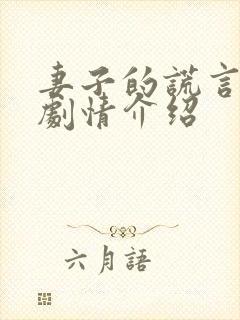 妻子的谎言分集剧情介绍