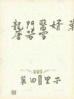 龙门医婿 叶凡唐若雪