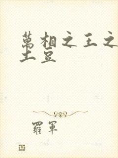 万相之王之天蚕土豆