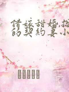 错嫁甜婚,总裁的契约妻小说