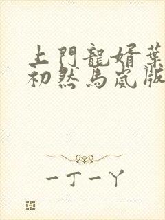 上门龙婿叶辰萧初然马岚版