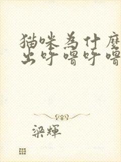 猫咪为什么会发出呼噜呼噜的声音