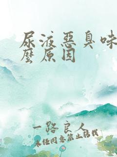 尿液恶臭味是什么原因