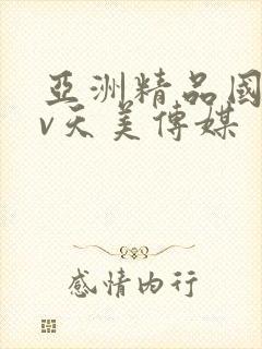 亚洲精品国产av天美传媒