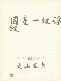 国产一级淫片a级