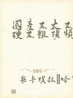 国产又大又黄又硬又粗视频