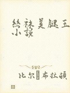 丝袜美腿玉足交小说