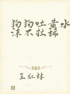 狗狗吐黄水带泡沫不拉稀