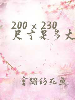 200ⅹ230尺寸是多大被子