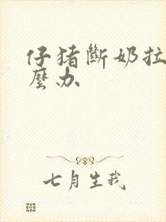 仔猪断奶拉稀怎么办