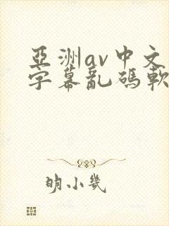 亚洲av中文字字幕乱码软件
