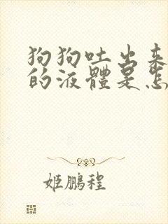 狗狗吐出来黄色的液体是怎么回事