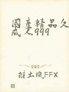 国产精品久久久成人999