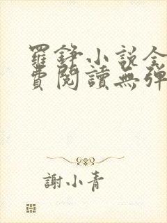 罗铮小说全文免费阅读无弹窗