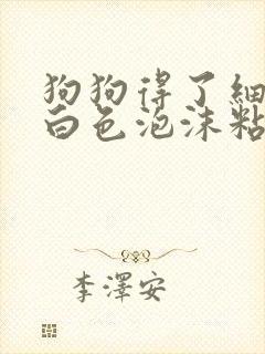 狗狗得了细小吐白色泡沫粘液