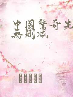 中国惊奇先生 无删减