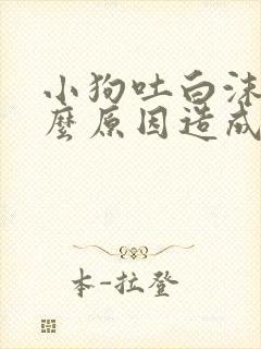 小狗吐白沫是什么原因造成的