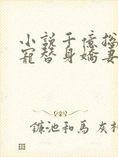 小说千亿总裁独宠替身娇妻全文阅读