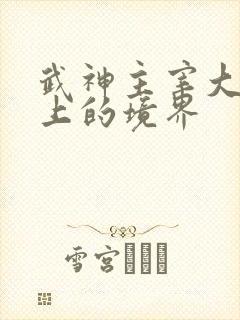 武神主宰大帝之上的境界