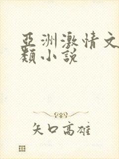 亚洲激情文学另类小说