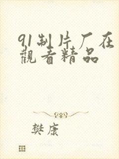 91制片厂在线观看精品