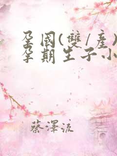 孕国(双/产)孕期生子小说