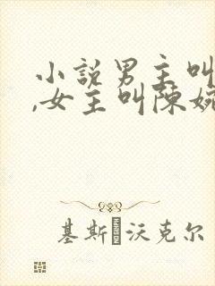 小说男主叫秦昊,女主叫陈婉