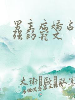 男主病娇占有欲强的宠文