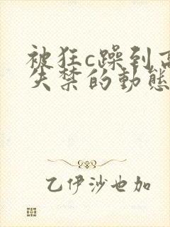 被狂c躁到高潮失禁的动态图