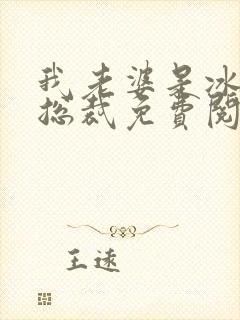 我老婆是冰山女总裁免费阅读