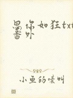 思你如狂txt番外