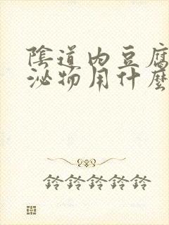 阴道内豆腐渣分泌物用什么药