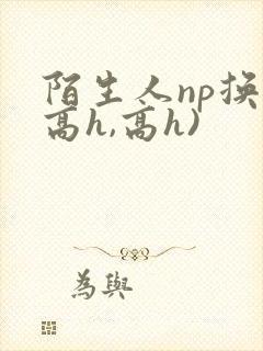 陌生人np换(高h,高h)