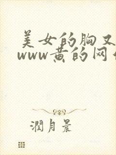 美女的胸又大又www黄的网站