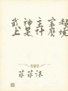 武神主宰超脱之上是什么境界