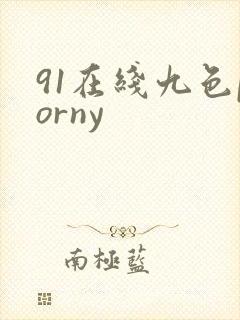 91在线九色porny
