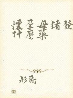 怀孕母猪发热用什么药