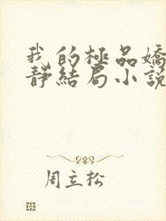 我的极品娇妻白静结局小说