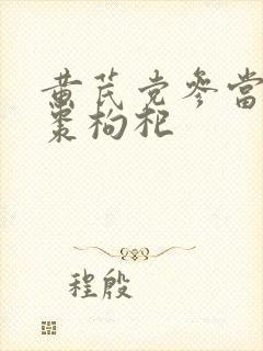 黄芪党参当归红枣枸杞