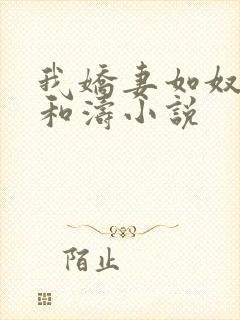 我娇妻如奴 琳和涛小说