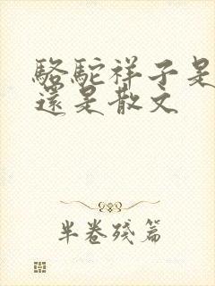 骆驼祥子是小说还是散文